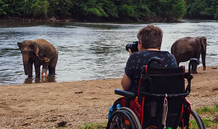 Tourist in a wheelchair taking a photograph of an elephant